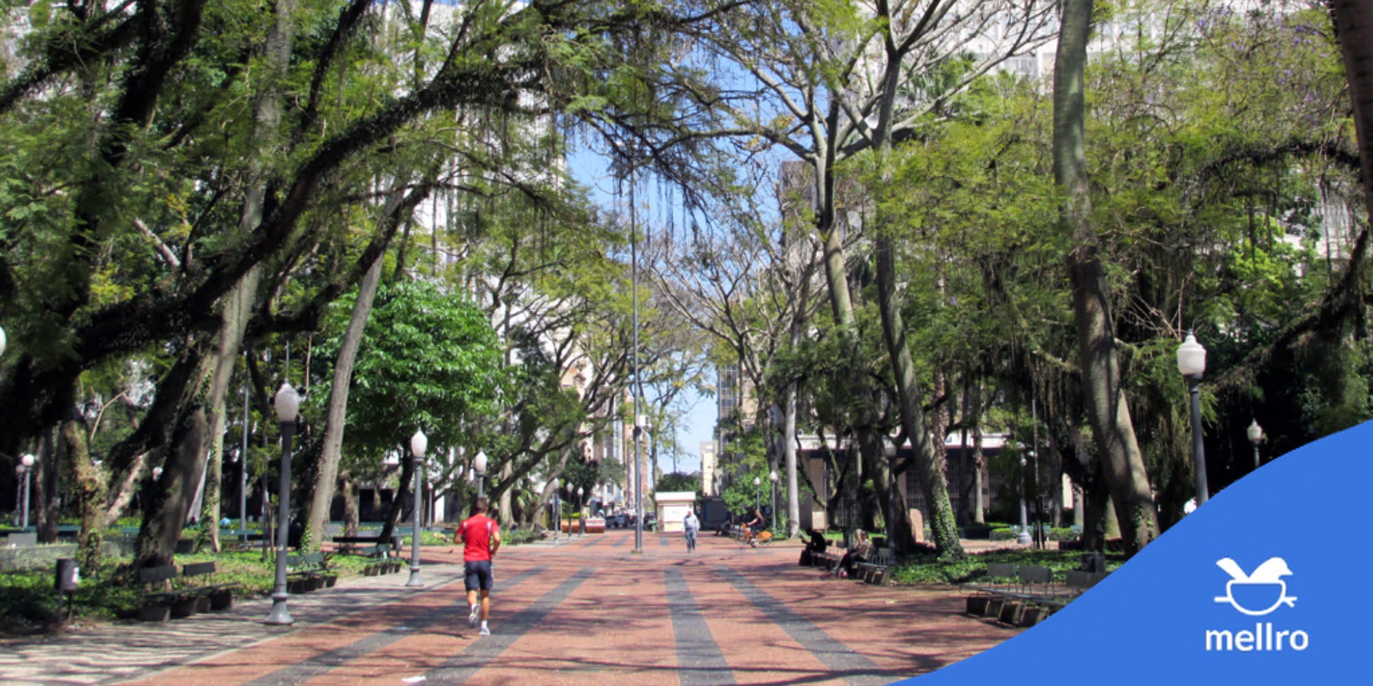 Centro histórico de Porto Alegre com apartamentos para alugar