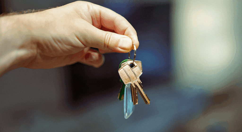 Preparar carteira 2026